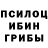 Галлюциногенные грибы Psilocybine cubensis Hidelisa Guba