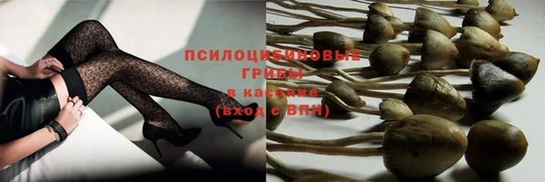 кристаллы Белокуриха