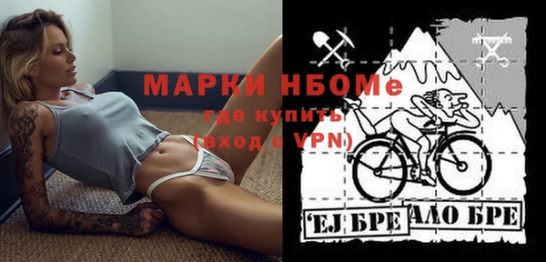 гидра Богданович