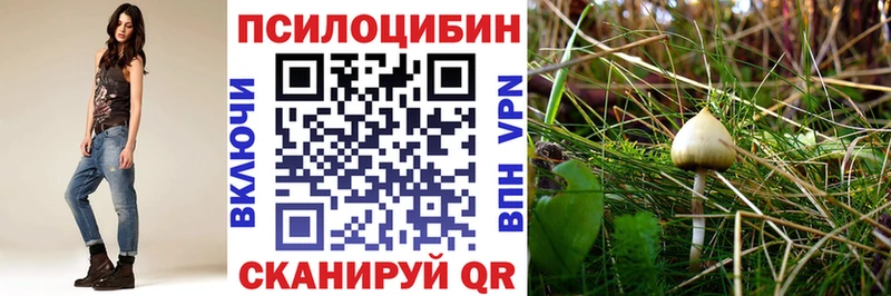 Купить Закаменск Галлюциногенные грибы Psilocybe