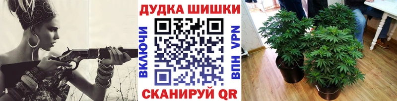 Бошки марихуана ГИДРОПОН Купить закладки Закаменск